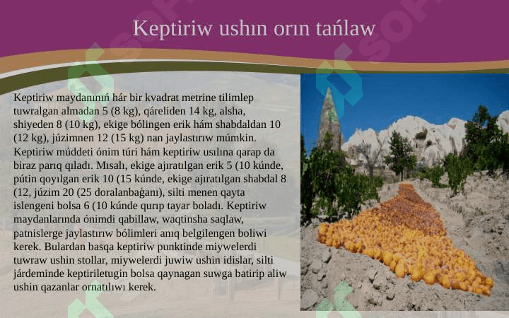 Miyweler hám juzimlerdiń keptiriw uskeneleri dúzilisi, is organları 3