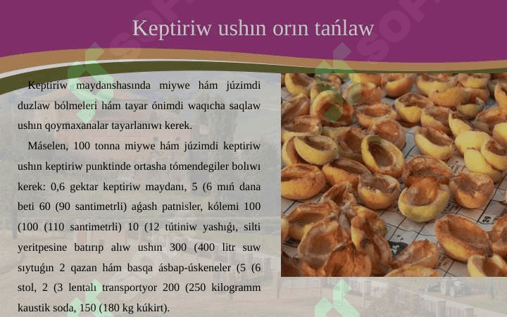 Miyweler hám juzimlerdiń keptiriw uskeneleri dúzilisi, is organları 4