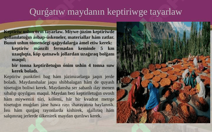 Miyweler hám juzimlerdiń keptiriw uskeneleri dúzilisi, is organları 5