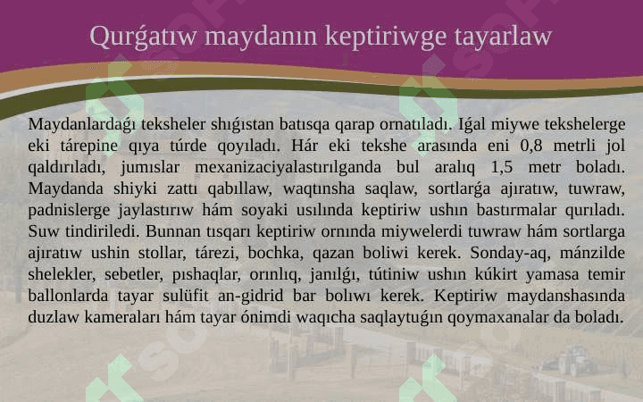 Miyweler hám juzimlerdiń keptiriw uskeneleri dúzilisi, is organları 7
