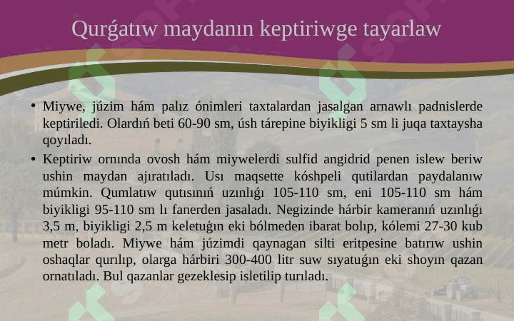 Miyweler hám juzimlerdiń keptiriw uskeneleri dúzilisi, is organları 8