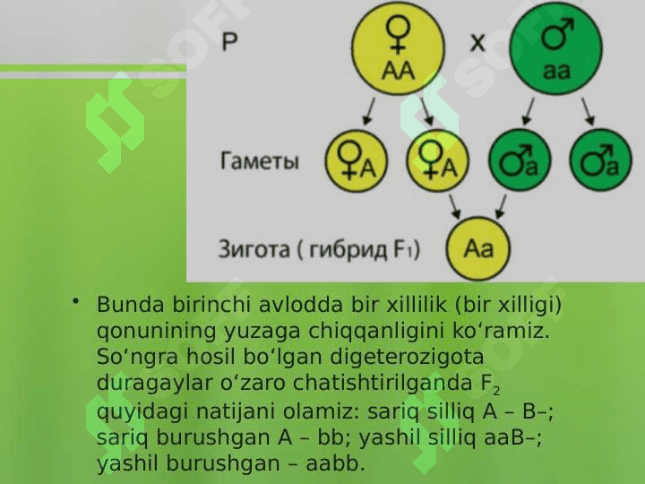 DIDURAGAY VA POLIDURAGAY CHATISHTIRISH. 4