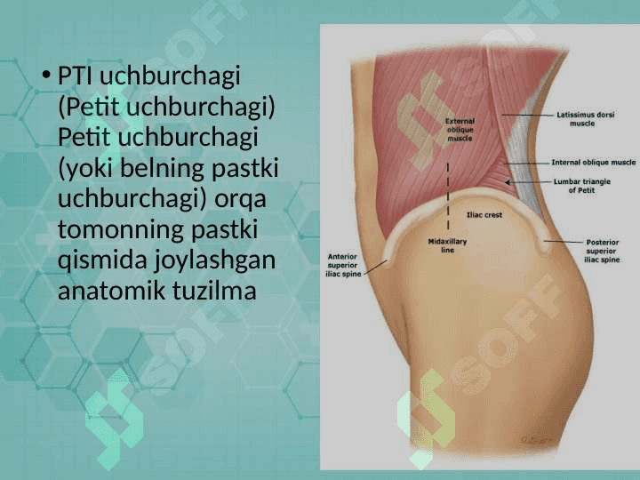 Pti uchburchagi va oraliq churralar 2