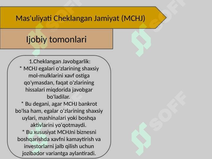 Biznes turlari. Ijobiy va salbiy tomonlari 4