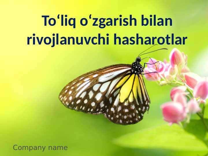 To‘liq o‘zgarish bilan rivojlanuvchi hasharotlar