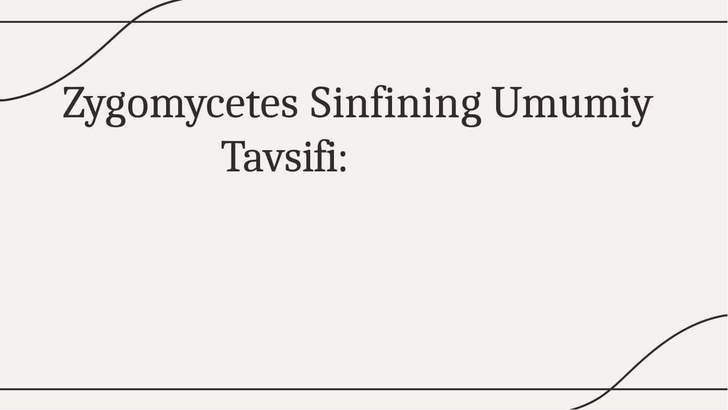 Zygomycetes Sinfining Umumiy Tavsifi