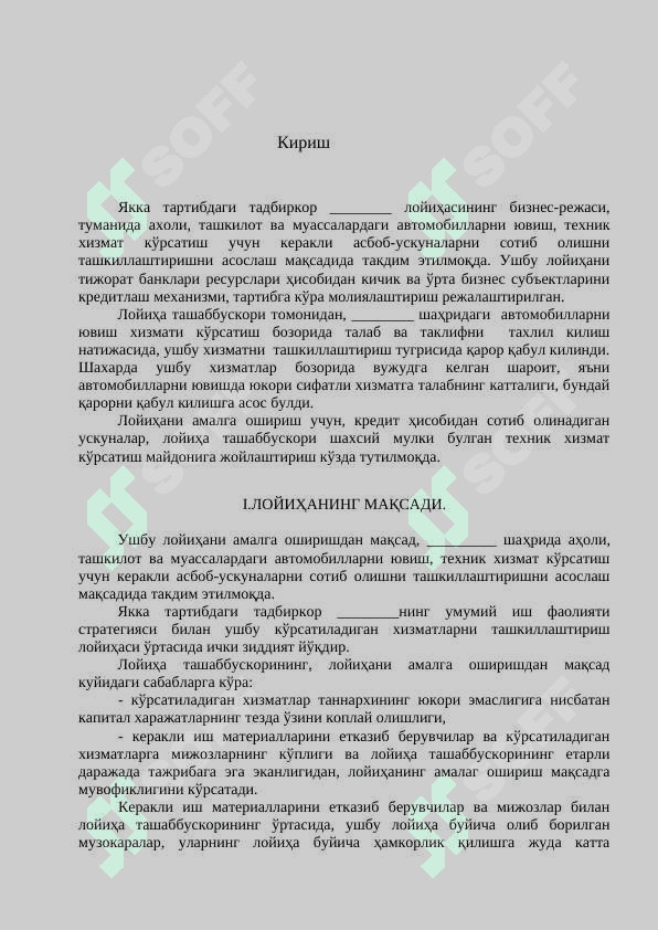 Avtomoyka biznes reja 2