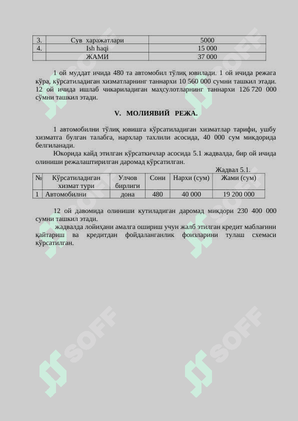 Avtomoyka biznes reja 6