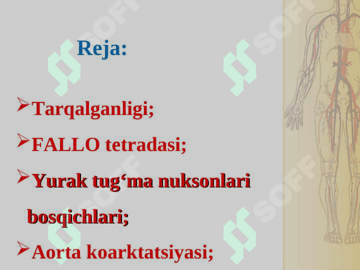 TUG‘MA YURAK NUQSONLARI 2
