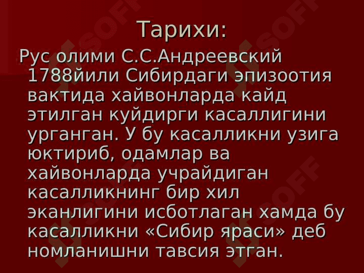 Kuydirgi 4
