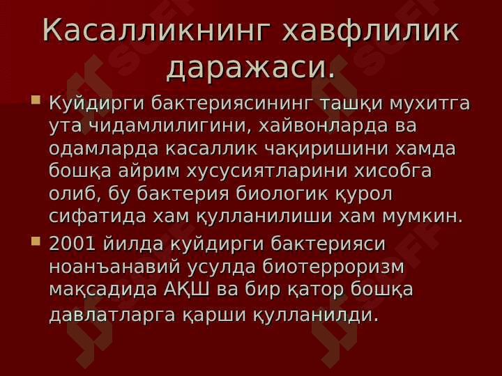 Kuydirgi 7