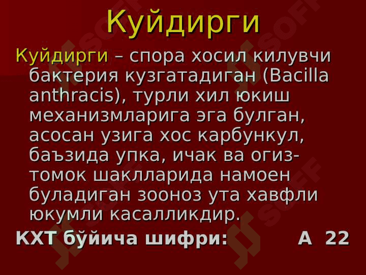 Kuydirgi 2