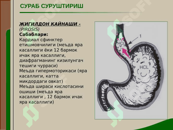 Ovqat hazm qilish aʼzolari kasalliklari boʻlgan bemorlarni tekshirish 8