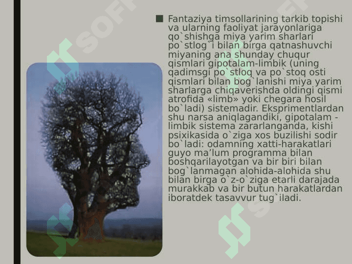 Xayol mavzusida umumiy pisixologiya 8