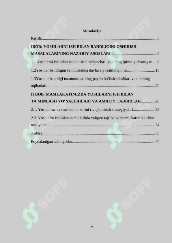 Mamlakatimizda yoshlarni ish bilan bandligini oshirish masalalari 2