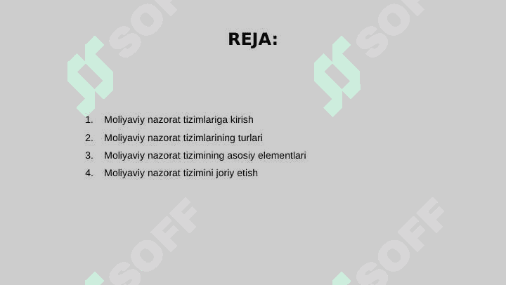 Moliyaviy nazorat tizimining bir tipligi va uning elementlari 2