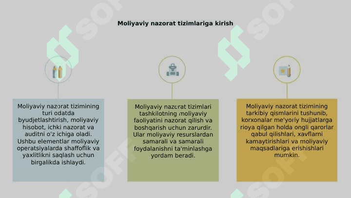 Moliyaviy nazorat tizimining bir tipligi va uning elementlari 3