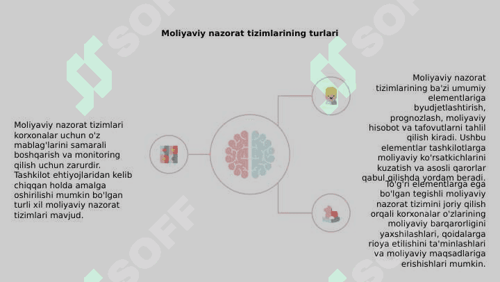Moliyaviy nazorat tizimining bir tipligi va uning elementlari 4
