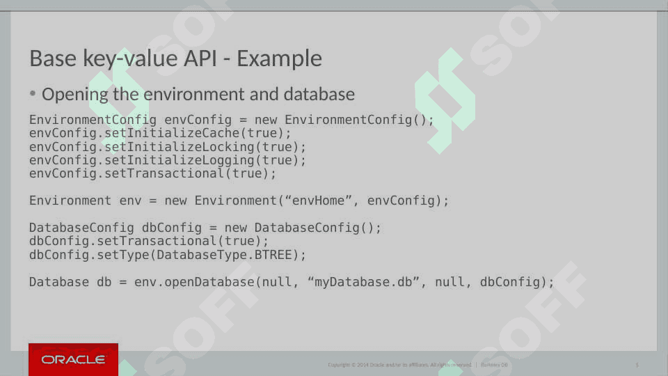 BDB Java Sample Program 5