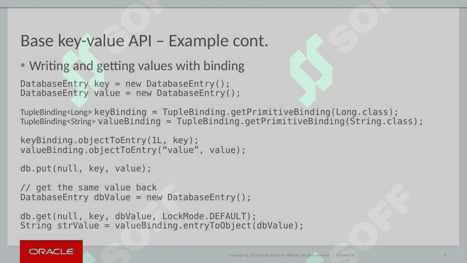 BDB Java Sample Program 6
