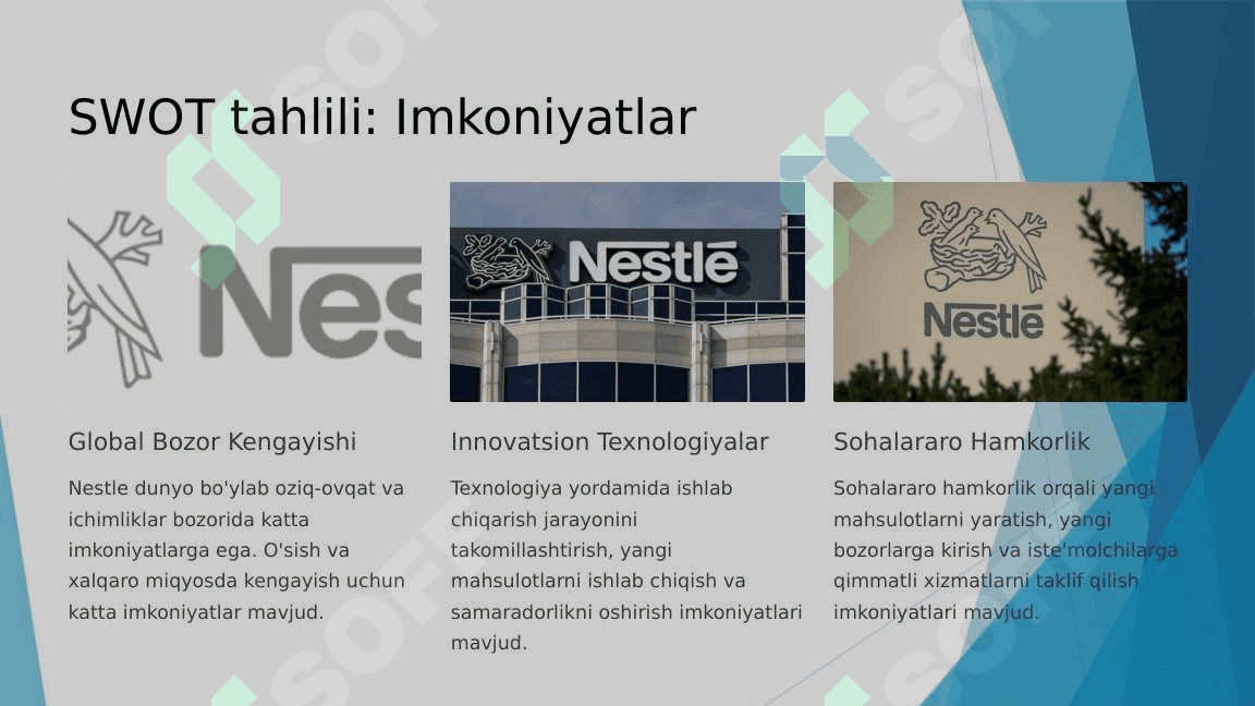 Nestle korxonasi marketing tahlili 7