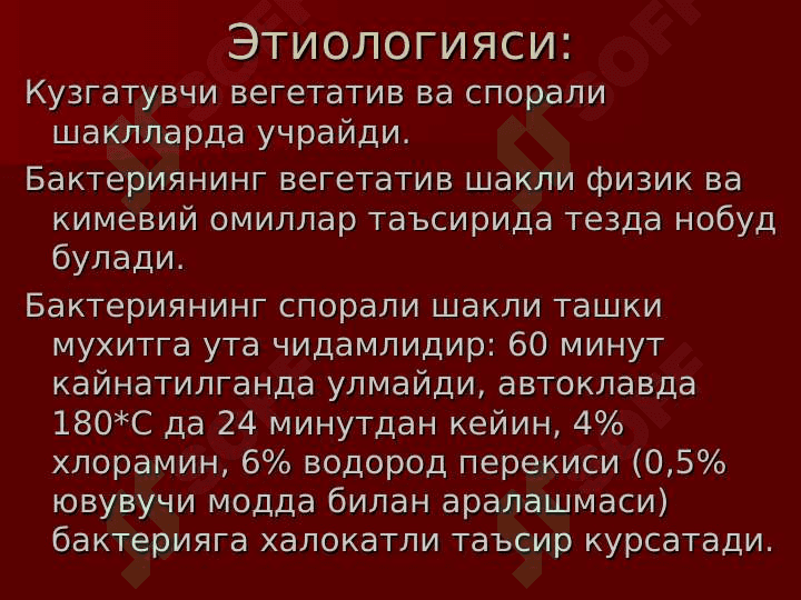 Sibir yarasi(kuydirgi) 5