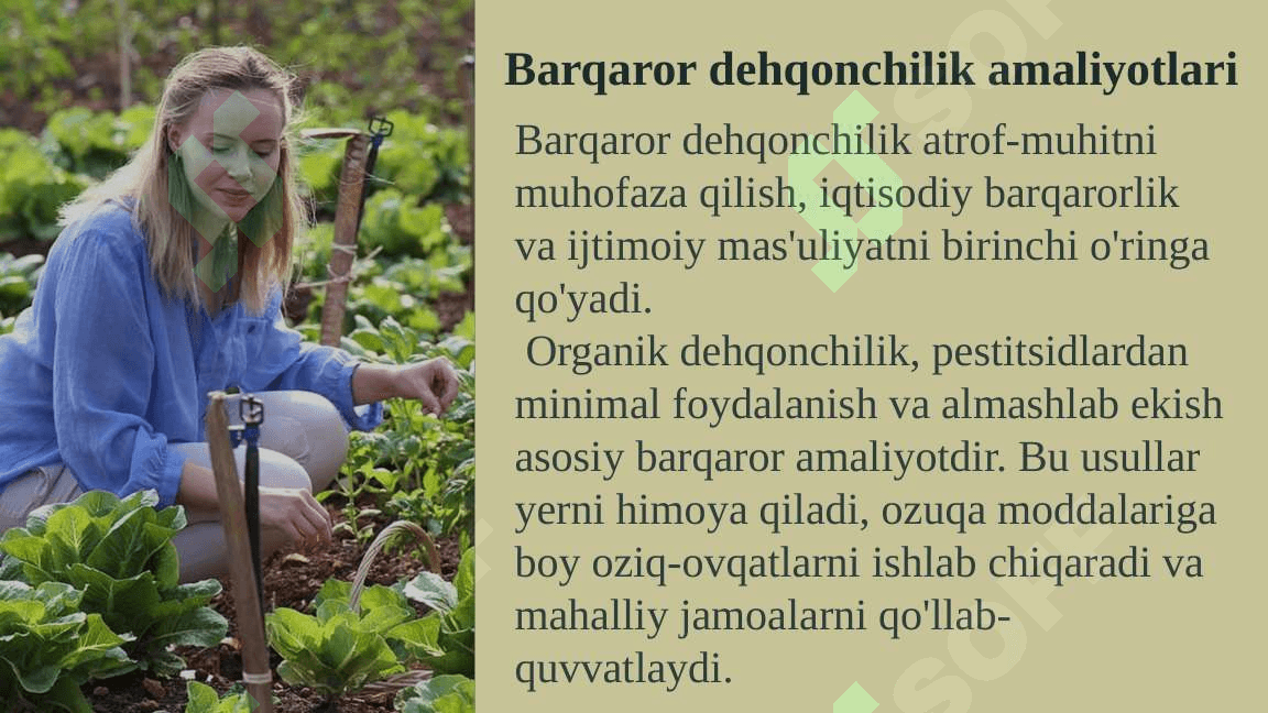 mintaqalarda qishloq turizmi 6