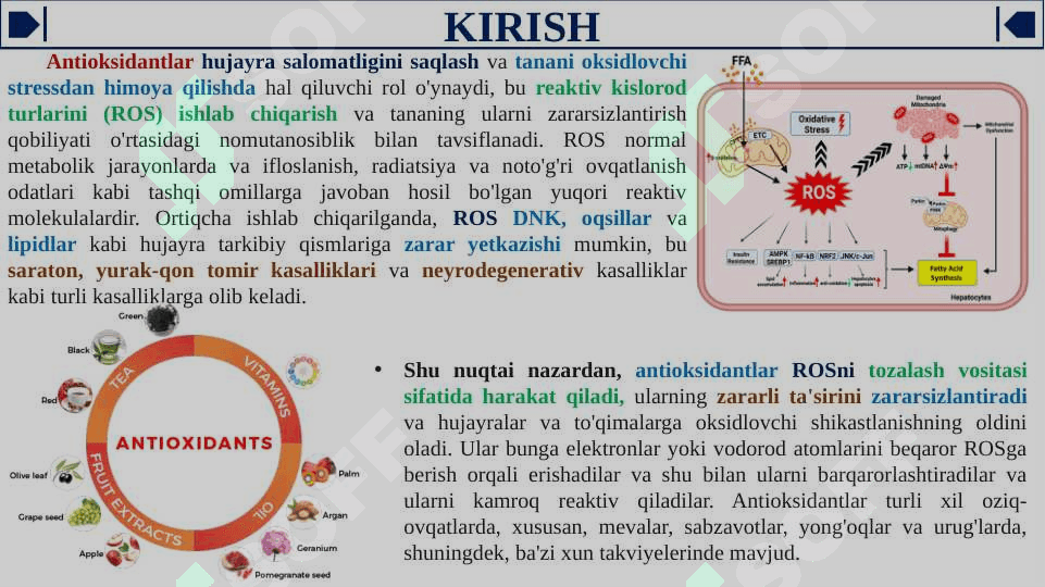 Antioksidantlar. Ularning klinikada qo'llanilishi 3
