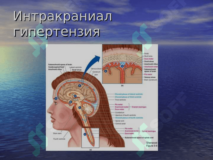 PSEVDONEVROLOGIK SINDROMLAR TURLARI 3