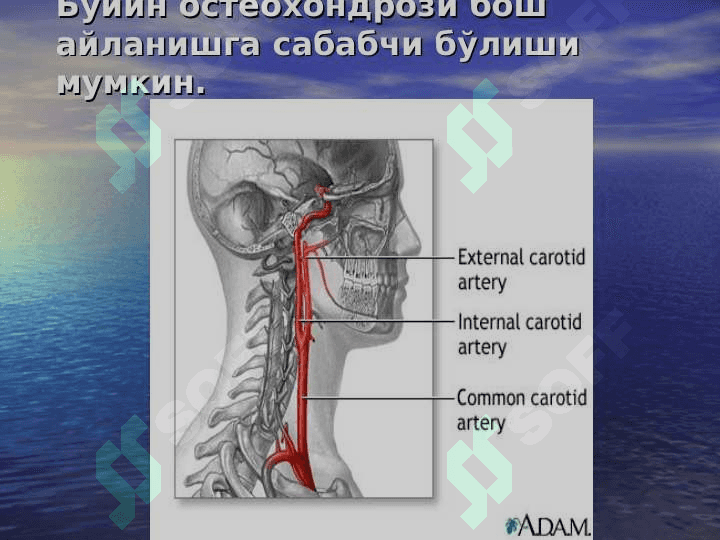 PSEVDONEVROLOGIK SINDROMLAR TURLARI 7