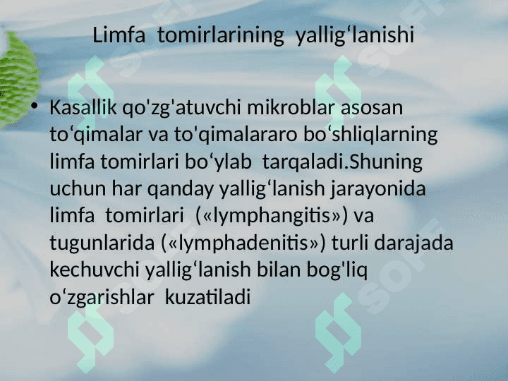 Limfa tugunlari, kon va limfa tomirlari yiringili yallig‘lanish xastaliklari: limfadenit, limfangit, tromboflebit 2