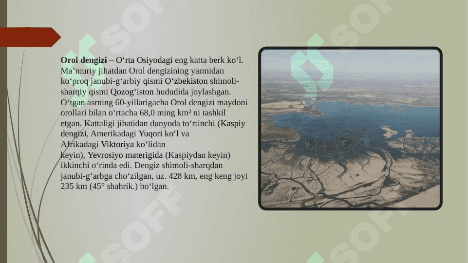 Orol dengizi va Orolbo’yi hududlarning ekologik muammmolari hamda ularning oldini olish 2