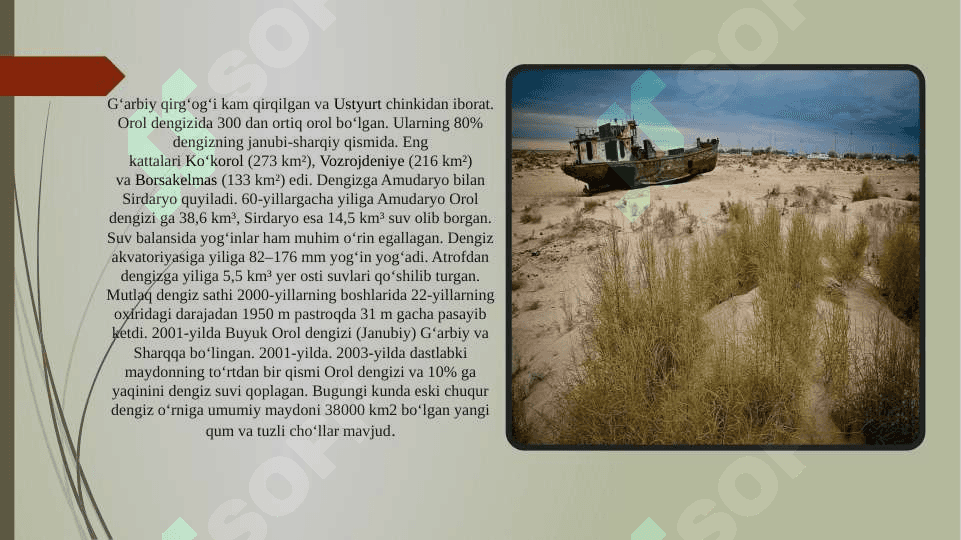Orol dengizi va Orolbo’yi hududlarning ekologik muammmolari hamda ularning oldini olish 4