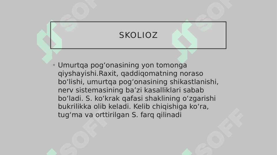 Skalioz 2