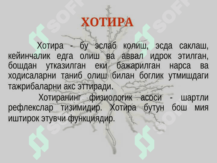 XOTIRA DIQQAT INTELLEKT. ASOSIY XUSUSIYATLARI. XOTIRA DIQQAT, INTELLEKT PATOLOGIYASI. SINDROMLARI. OLIGOFRENIYA 2