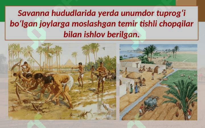 O`RTA ASRLARDA  AFRIKA XALQLARI. 7