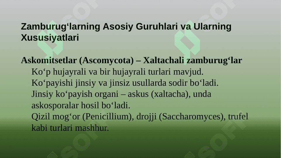Zamburugʻlar klassifikatsiyasi va tuzilish xususiyatlari. 6