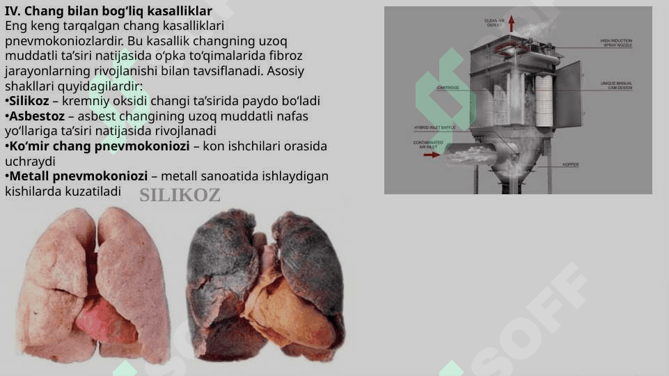 Sanoat changlari va changga doir patologiyalar 6