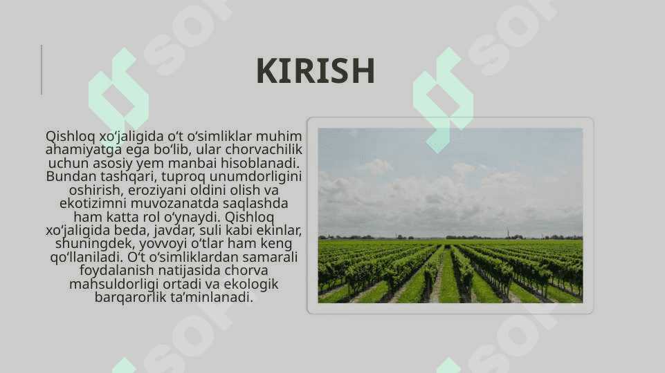 Qishloq xo‘jaligida ishlatiladigan o‘t o‘simliklar 3