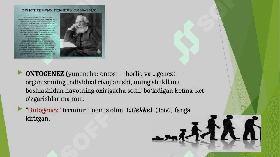 RIVOJLANISH PSIXOLOGIYASIGA KIRISH. RIVOJLANISH PSIXOLOGIYASINING SHAKLLANISH TARIXI 6