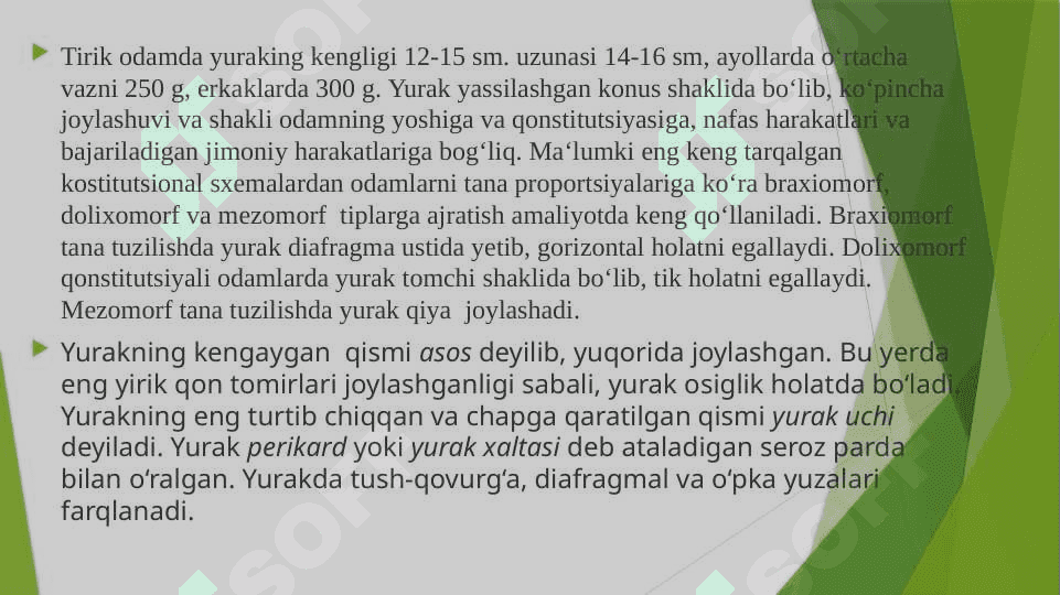 YURAK – QON TOMIRLARI TIZIMI TUZILISHI 6