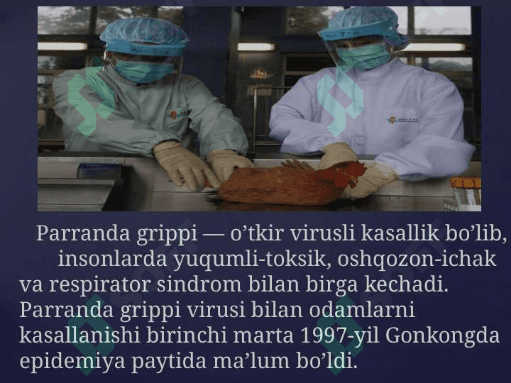 Parranda grippi 3