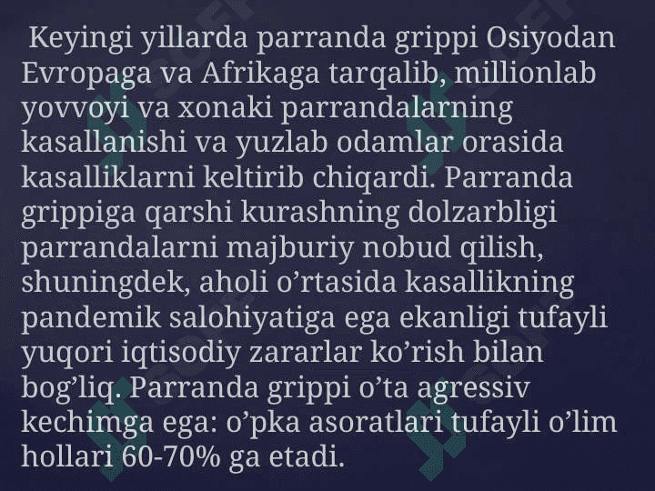 Parranda grippi 4