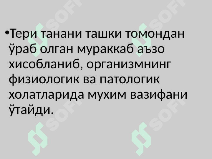 Тери, тери ости ёғ қаватининг болалардаги анатомо-физиологик хусусиятлари.BKP 2
