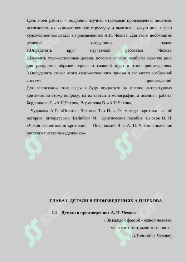 Характер и функция детали в рассказах А.П.Чехова 4