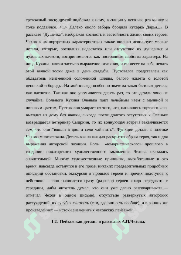 Характер и функция детали в рассказах А.П.Чехова 7