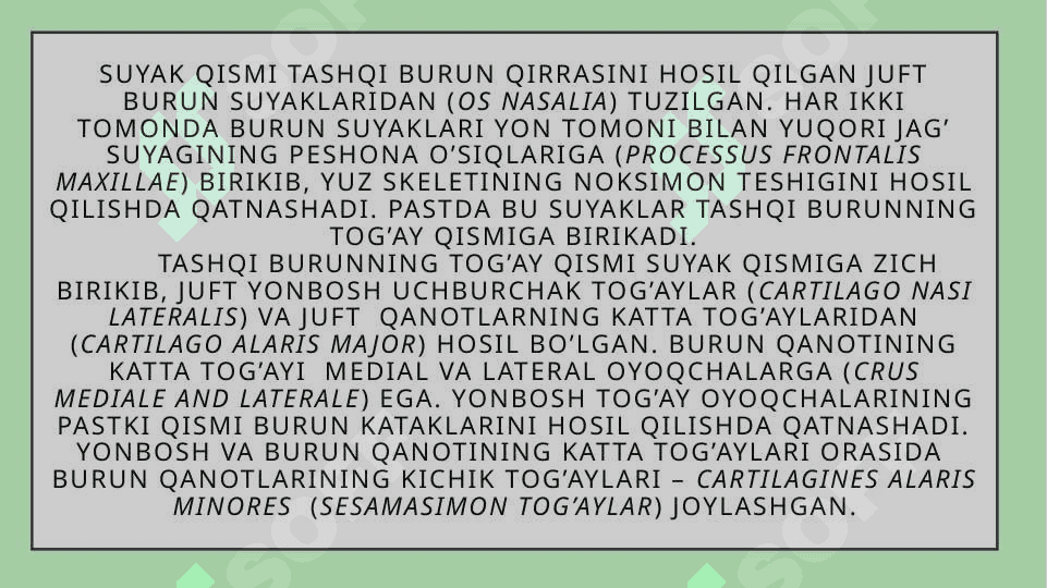 Burunning yon boʻshliqlarining klinik anatomiyasi 4