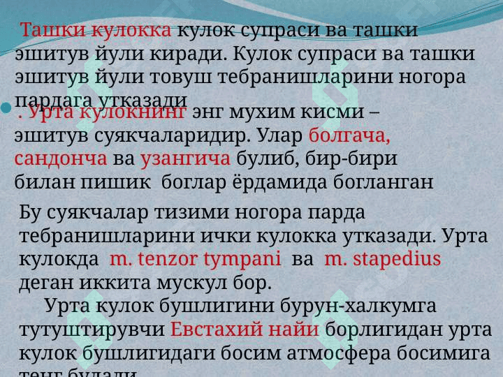 Eshituv va vestibular analizatorlaning faoliy tasnifi . Эшитув ва вестибуляр анализаторларнинг фаолий тавсифи 5