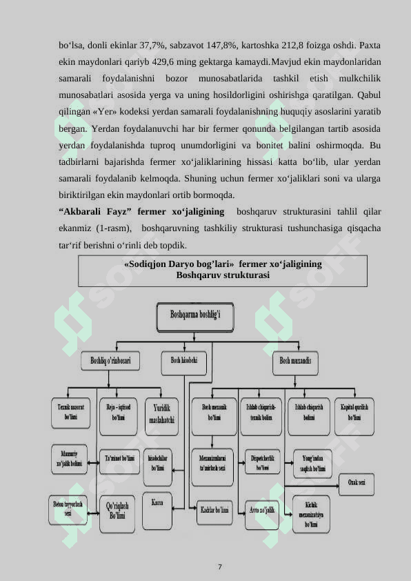 «Akbarali Fayz » fermer xoʻjaligi 7