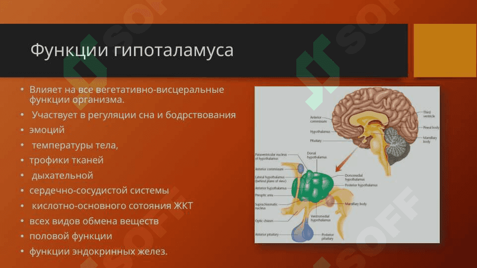 Гипоталамический синдром 3
